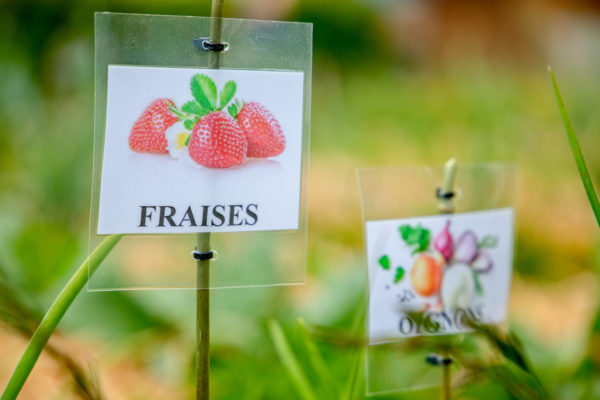 Un jardin permacole pour créer le lien !